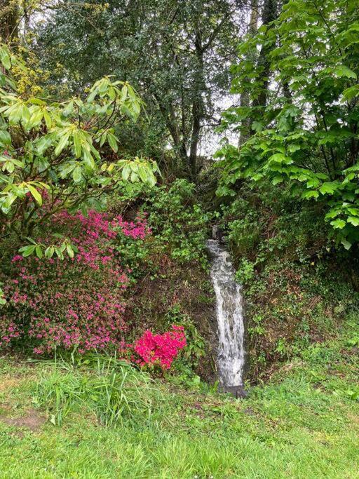 Beautiful Garden Cottage, Close To Llandeilo. Hoel-galed Exterior foto